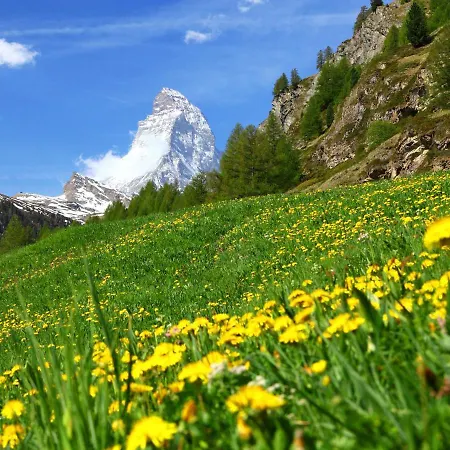 Attila By Interhome Zermatt